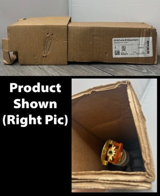 Automatic Sprinkler DS1 HSW Flush ESC SR 155 Brass/White 6-Inch