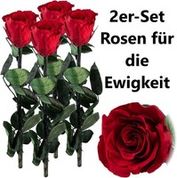 Neu Rose Geschenkbox FüR Valentinstag Geburtstag Muttertag Ewig Geschenk Liebe