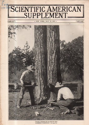 1917 Scientific American Supp May 19 - Are men no good to work after 40? Islands