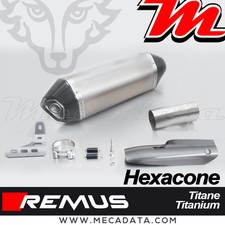 Remus Hexacone Titan Endschalldämpfer mit Hitzeschutz BMW R1200R 2015
