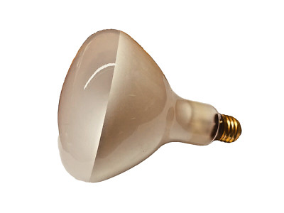 BFC PHOTO LAMP 250W 30V (AVERAGE LIFE 3/4 HOUR)