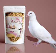 BIRD FOOD  MILLET  Pet food for All Type  COMPLETE NUTRITION  1000 gram