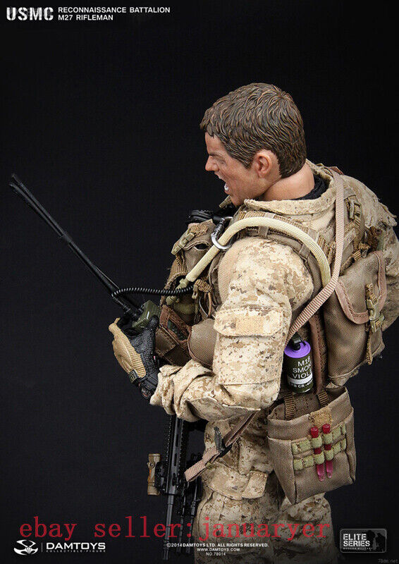 Damtoys 1/6 78014 Usmc Reconnaissance Battalion M27 Rifl Action