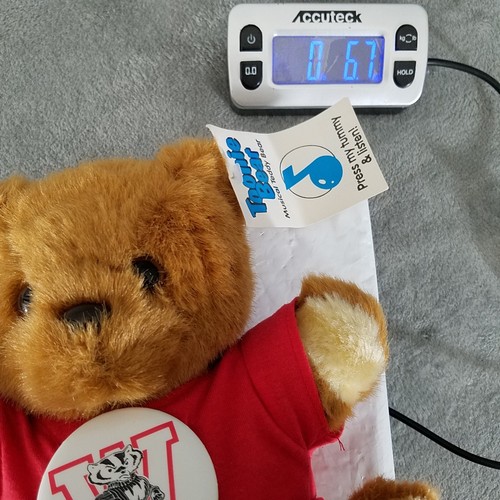 Toonie Bear Peluche Universidad de Wisconsin Tejones Alfiler Juguete Musical 9" VER VIDEO - Imagen 9 de 9
