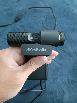 AVerMedia 313 webcam - USB plug-and-play