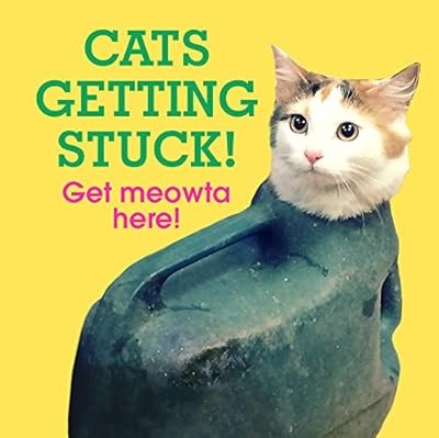 Cats Getting Stuck! (Gift), Details, No Author, Used; Very Good Book