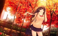 Landscape anime girls seasons trees leaves school Custom Gaming Mat Desk
