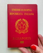 Italian passport notebook. Expired passport. Play passport cosplay. Pet passport