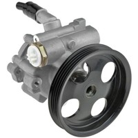 NTY Hydraulikpumpe Lenkung Servopumpe FüR Dacia Sandero II Js_ 1.6 LPG