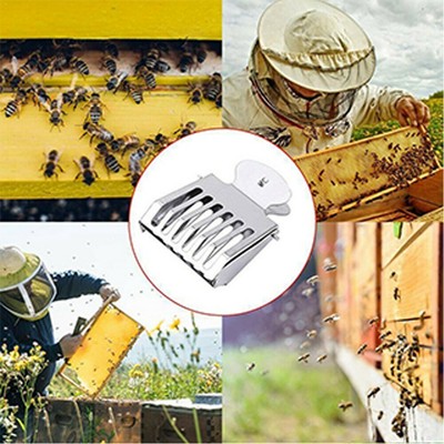 Queen Bee Cage Catcher Clip Beekeeping Tool Equipment Stainless Steel SG