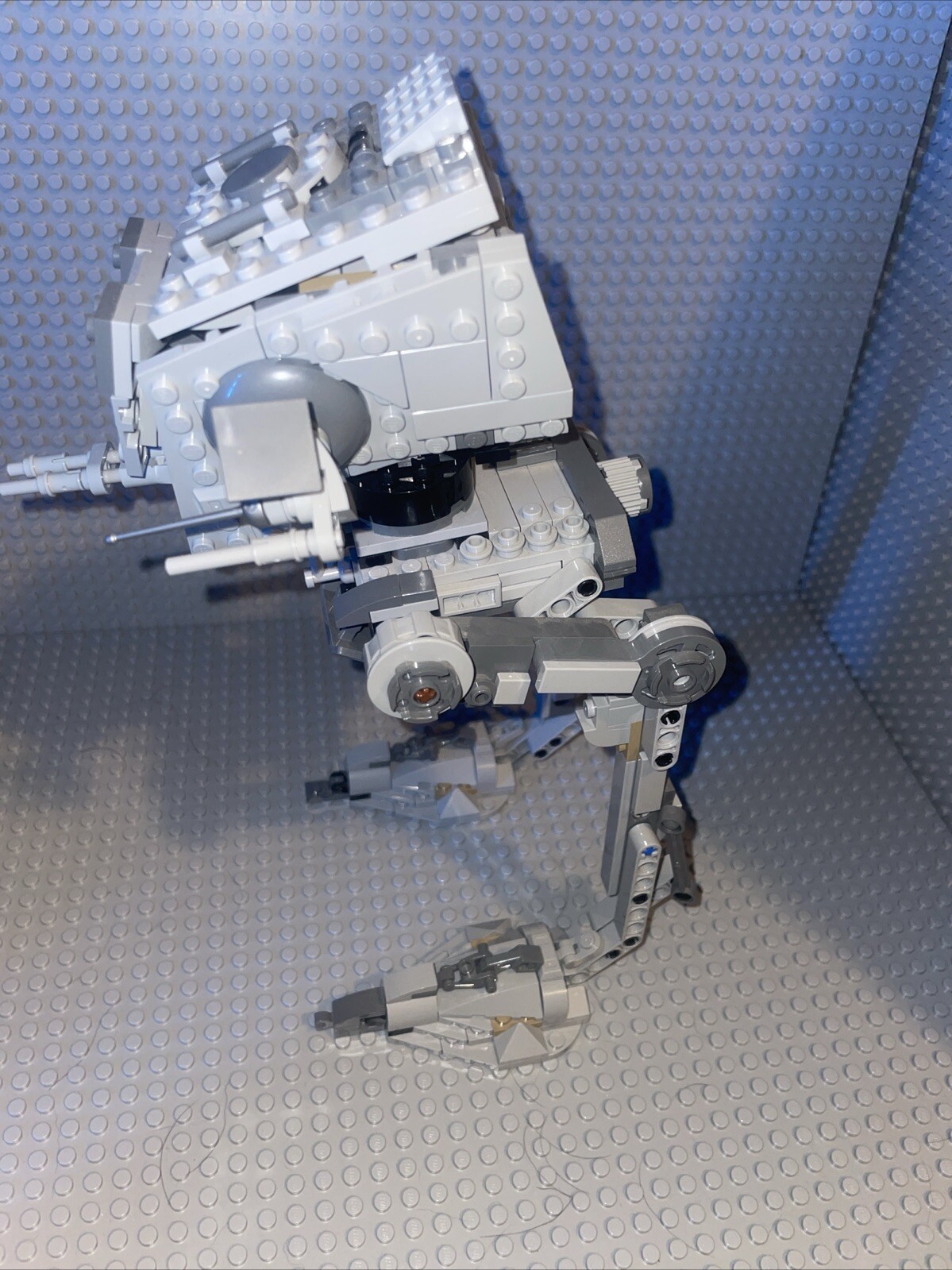 Picture 6 of 6