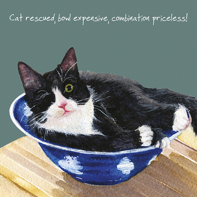 One Eyed Cat Little Dog Laughed Greeting Card Blank Inside Any Occasion