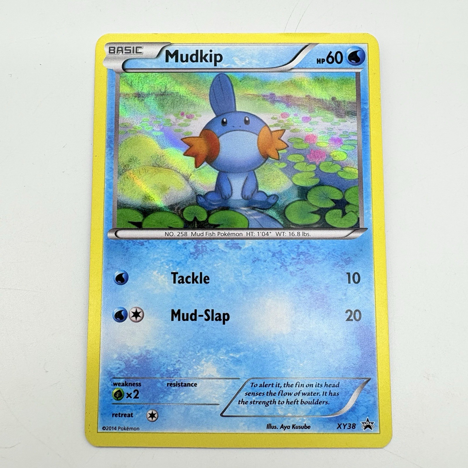 Pokémon TCG Mudkip XY38 Holo Black Star Promo Card 2014 LP