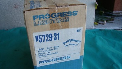 Progress Lighting P5729-31 Ceiling Mount 9-1/4'' Two-Light - Black