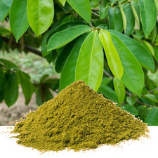 Feuilles de corossol en poudre | feuilles séchées biologiques naturelles pure...