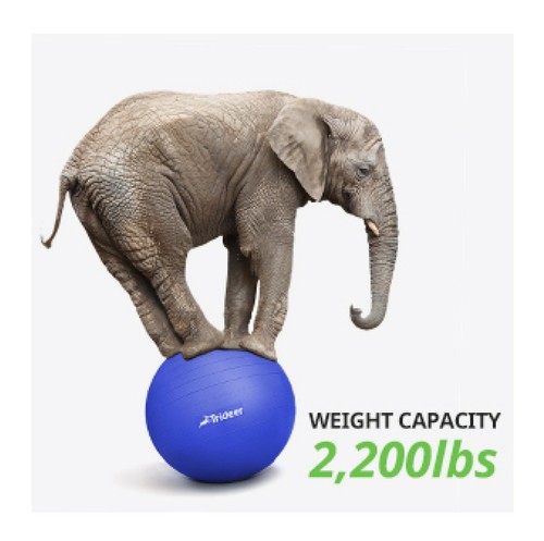 Yoga Ball Extra Thick Exercise for Balance Stability Pregnancy Physical Therapy - 第 2/12 張圖片
