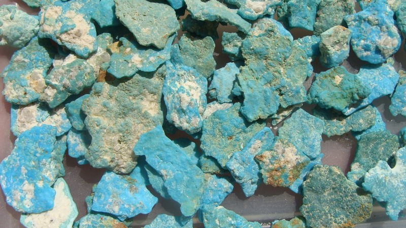 Darling Darlene Spiderweb Turquoise Flat Nuggets  NEV 672 KTS 