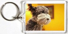 AA DOG AT RECORD PLAYER & SITTING IN ROOM KEYRING