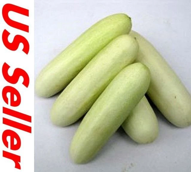 Fresh Organic White Wonder Cucumber Seeds - Non-GMO, Perfect For 2025 Growing Season