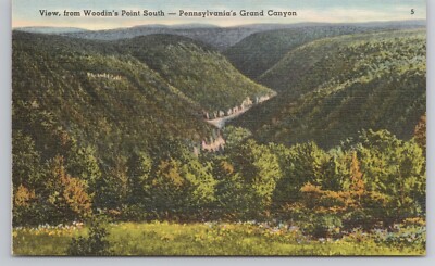 Postcard View From Woodin's Point South Pennsylvania's Grand Canyon