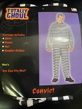 Jailbird Prisoner Convict Adult Men Costume, One Size