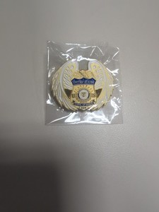 Federal Air Marshal Badge | eBay