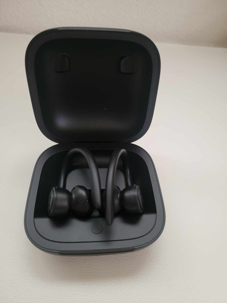 Beats by Dr. Dre Powerbeats Pro Wireless Earphones A2048 - Black