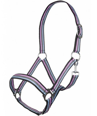 Belle cravache d'équitation. Pommeau bois de Cerfs. - Bois