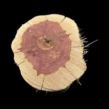 X Large Red Cedar Wood Turning Blank Cookie Live Edge Base 2" Thick X10" W 5