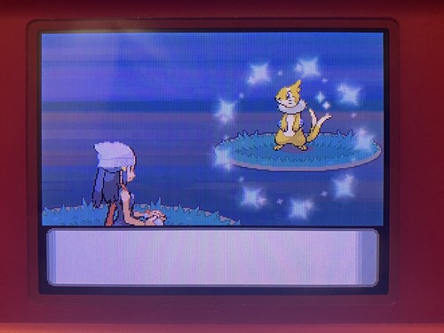 Pokemon Cute Charm Glitch Activation Mail-In Service for Diamond Pearl Plat HGSS - Picture 4 of 20