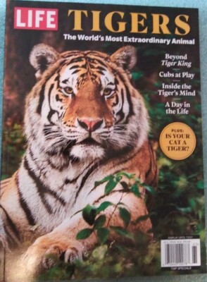 TIGERS - LIFE Publiction- The World's Most Extraordinary Animal Newstand Quality