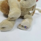 Bild 7 von 7