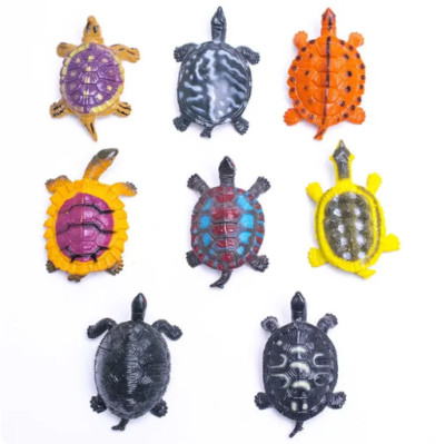 Aquatic Turtles That Stay Small Pet Water Turtles That Stay Small