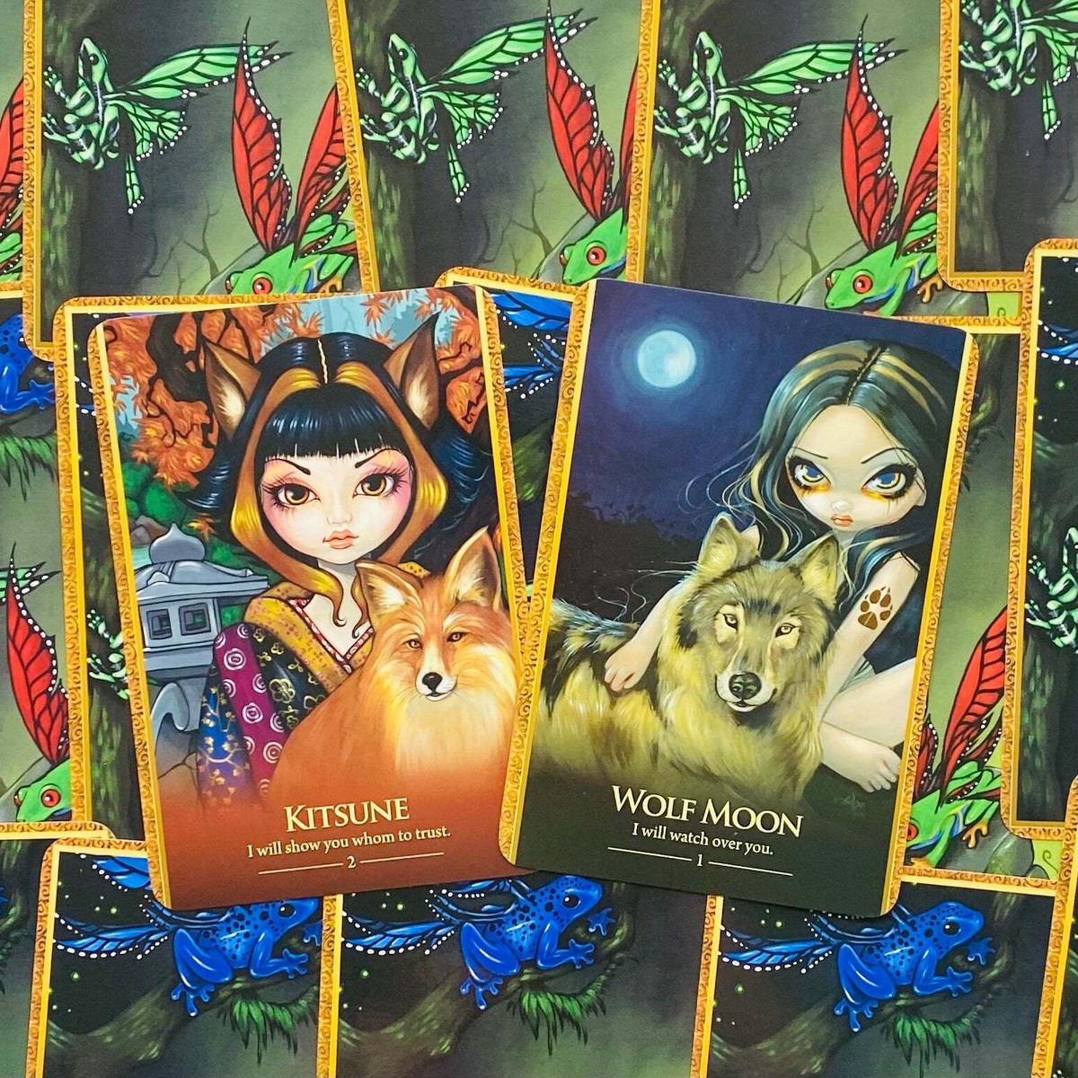 Oracle Of The Shapeshifters Cards Beyond Words - Tarot Cards