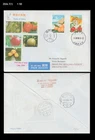 Food,Fruits of Kanto,Strawberry,loquat,waterfall,Tour,Japan 2006 FDC,Cover to CH