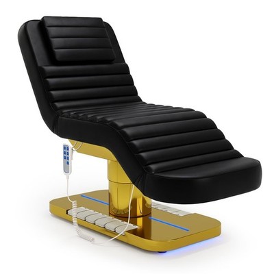 3 Motor Electrical SPA Beauty Bed Adjustable Professional Facial Bed 2* Control