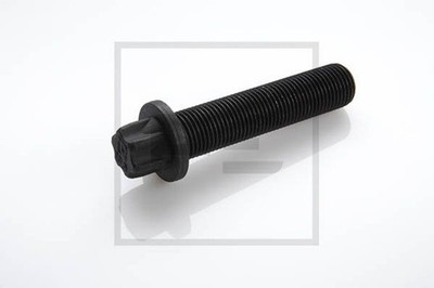 Schraube PE Automotive 031.375-00A M16x1,5