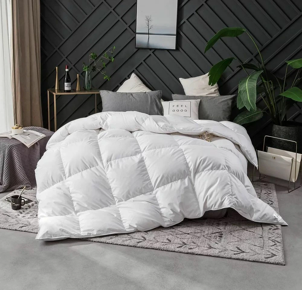 Couettes & Duvets Blanc 260 x 220 cm Microfibre CFW16234