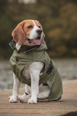 Rukka Pets Dog & Puppy Clothing - Streamy Eco Jacket - Upcycled Dog Coat