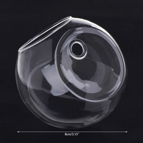 Glass Vase Wall Hanging Hydroponic Terrarium Fish Tanks Potted Flower Plant pot