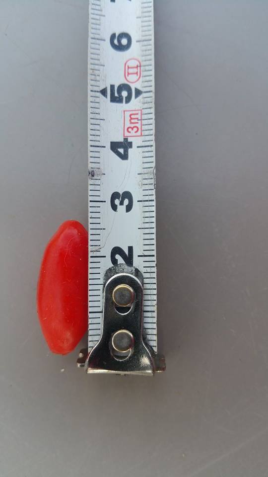 Bild 3 von 6