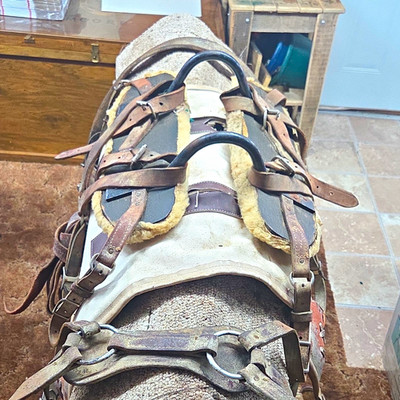 pack saddle with pads, straps, metal hardware. With sheepskin underneath it.