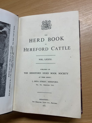 Raro 1951 " The Herd Libro Sugli Hereford Bestiame " Bulls & Cows Vol 81 (P6 - Picture 5 of 14