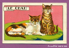 CHROMO ANIMAUX : LE CHAT, CAT -G200