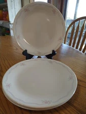 Set of 5 Corelle English Breakfast Dinner Plates