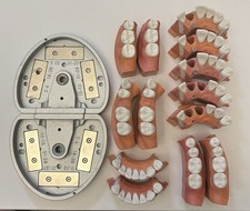 ModuPRO Typodont Teeth Segments A2-6, A7-12, A18-20, A21-27, A28-31 Pros, dental