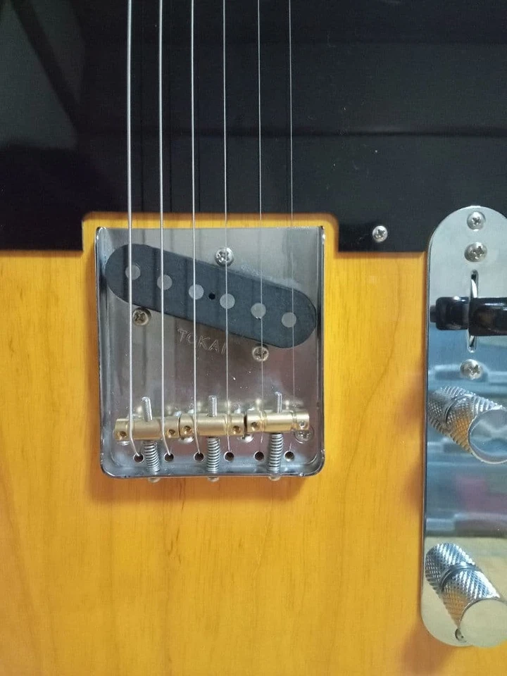 Tokai Tokai Japón ATE128 VNT Telecaster ¡Embalaje seguro de cenizas! Foto 4 de 4