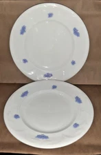 Set of Two Adderley Chelsea Grape  Plate Antique Smooth Grandmother Ware