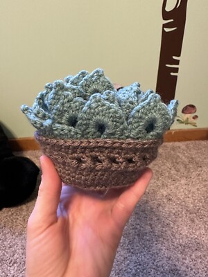 Succulent Coaster Set And Basket, Handmade Crochet, New
