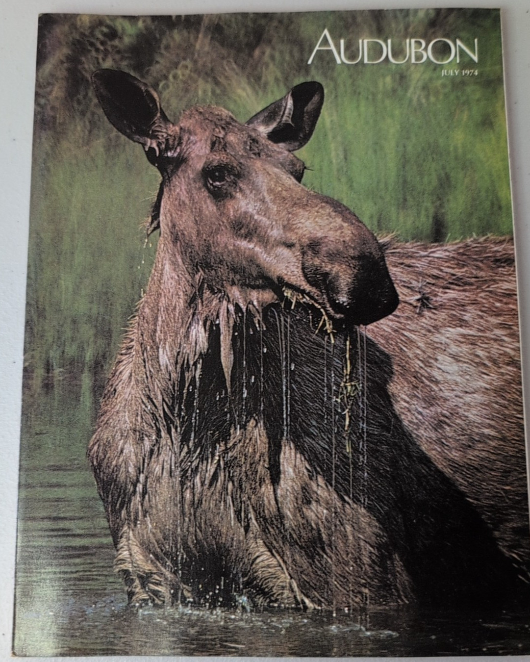 Audubon Magazine 1974 July Vintage Alaska Nature Moose Caribou Red Fox Sheep Ram